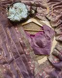 Exclusive Onion Fendy Silk Sequence Work Saree With Blouse